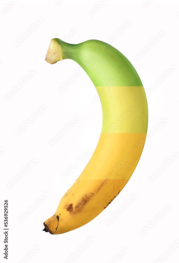 Ripening stages of banana isolated on white background.Clipping path.