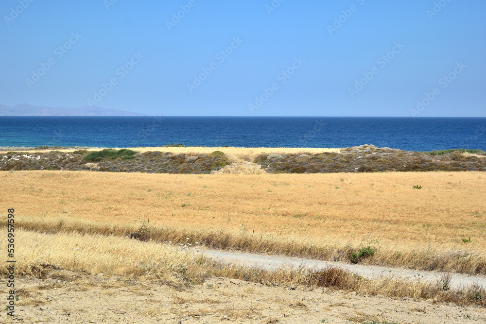 夏天的沙丘和海滩