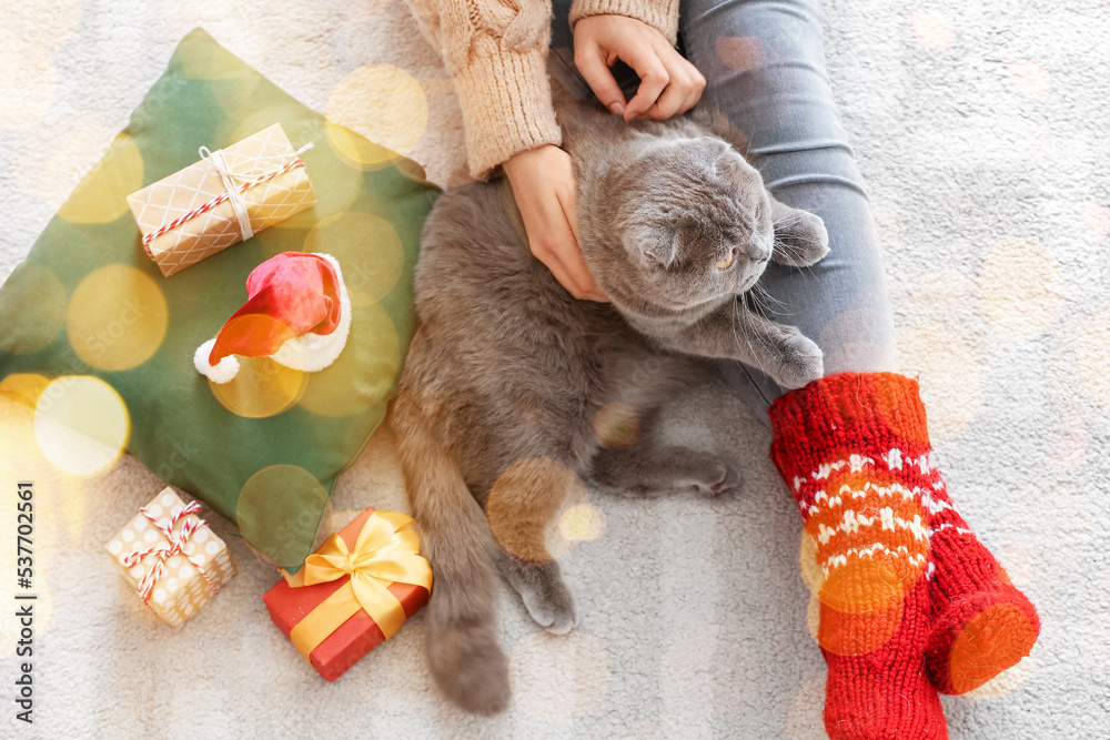 Woman with cute Scottish Fold cat at home on Christmas eve, top view