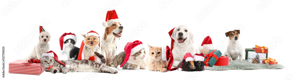 Set of cute animals in Santa hats and with Christmas gifts isolated on white