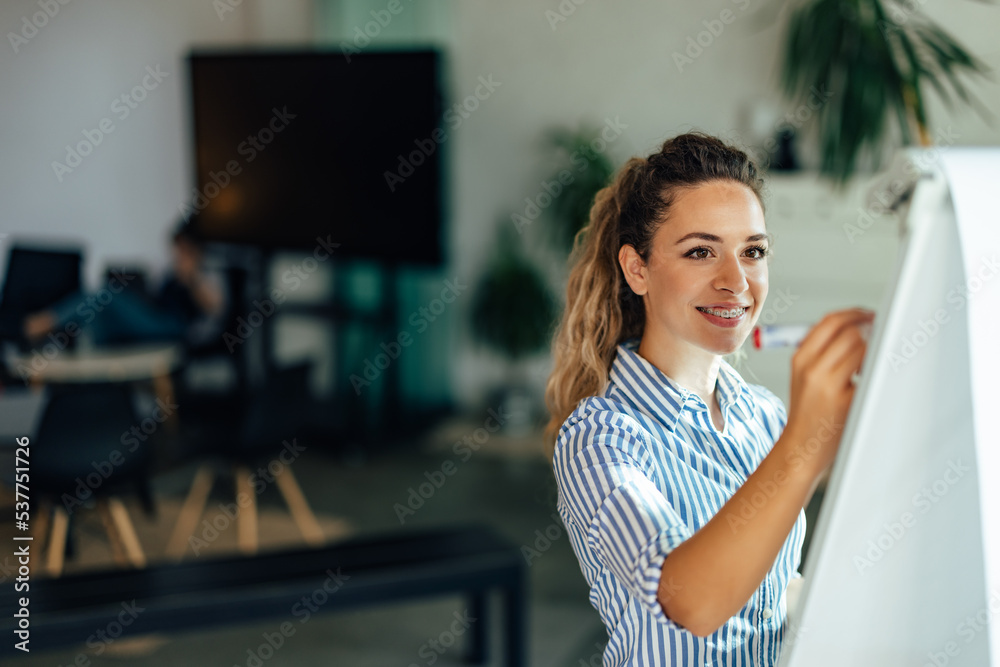 Smiling girl preparing board with writing plans on it, having a meeting.