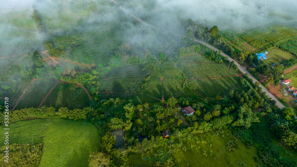 Mountains in fog at beautiful autumn in Phetchabun Thailand. Fog mountain valley, low clouds, forest