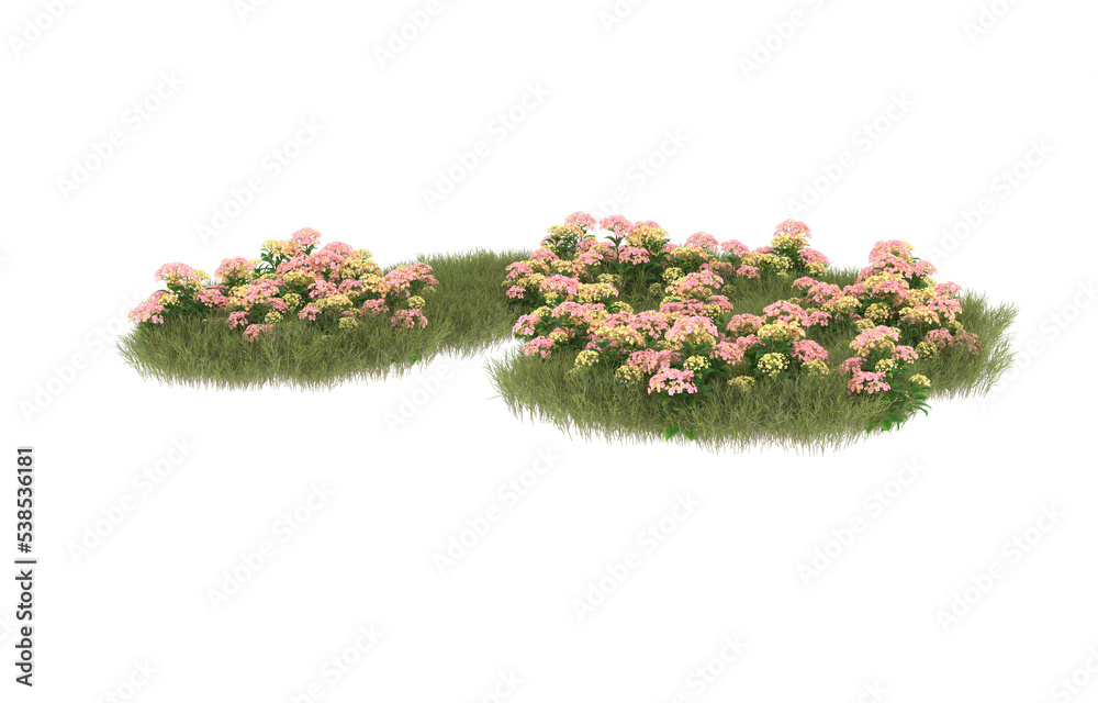 Field of grass with flowers on transparent background. 3d rendering - illustration