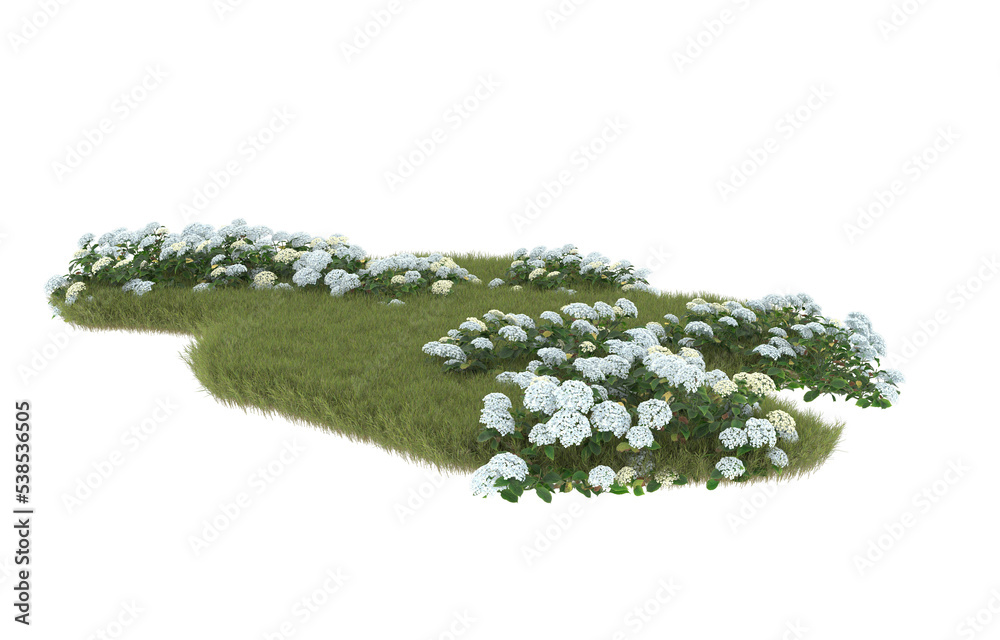 Field of grass with flowers on transparent background. 3d rendering - illustration