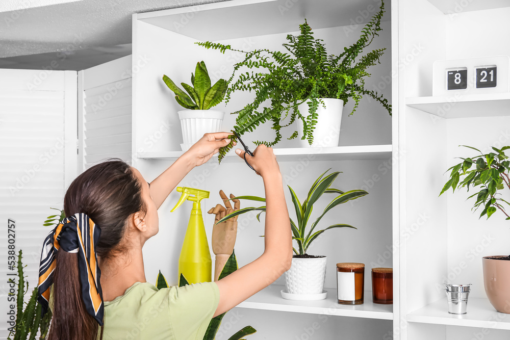 Woman cutting branch of houseplant on shelf at home