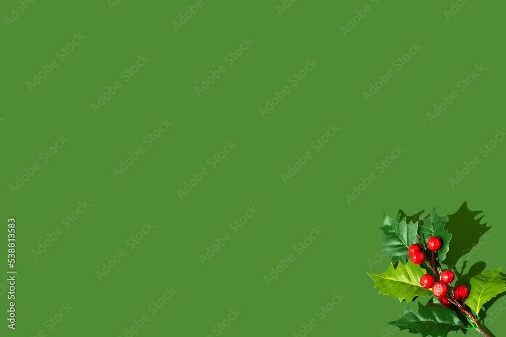 Isolated Holly berry on green background. Minimal Christmas concept.Copy space.