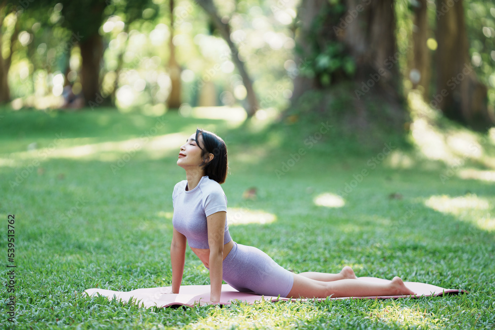 Beautiful young asian woman yoga exercising in the park.