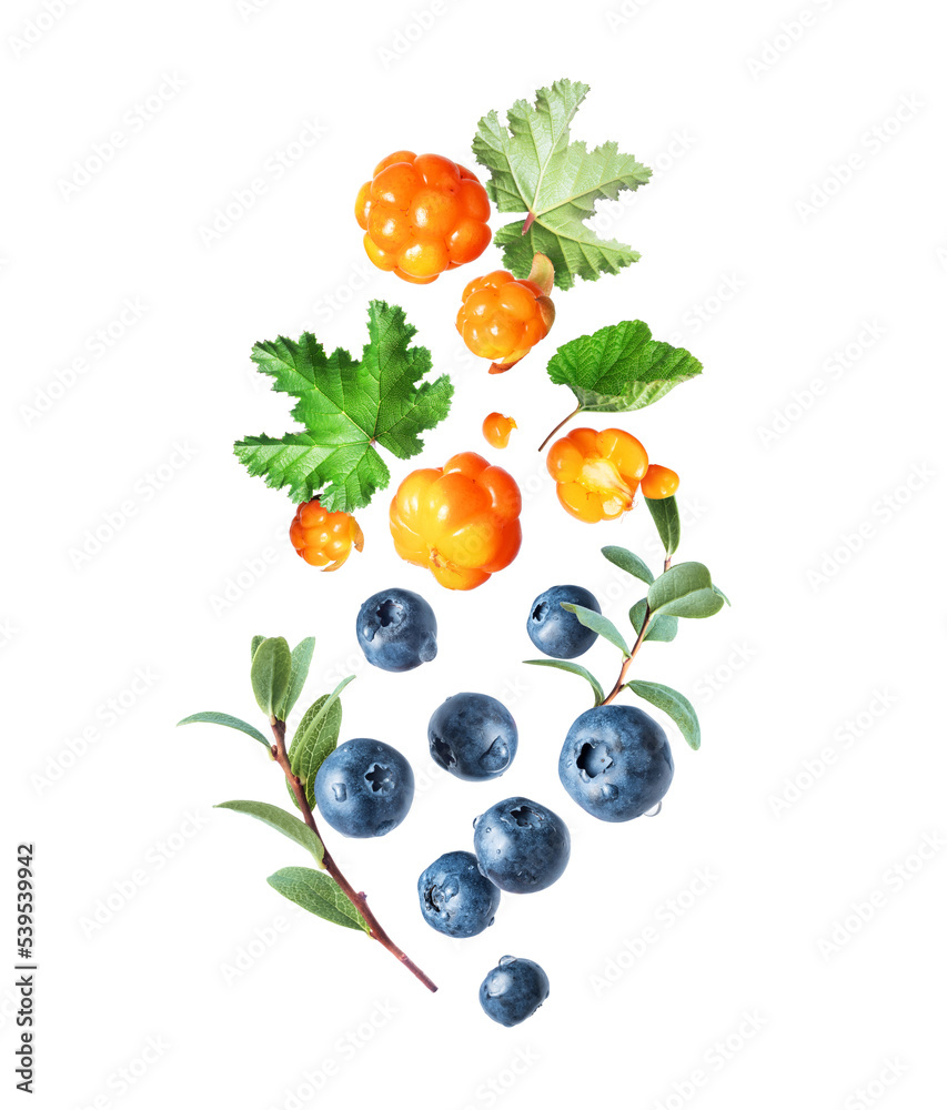 Ripe cloudberries and blueberries with green leaves in the air