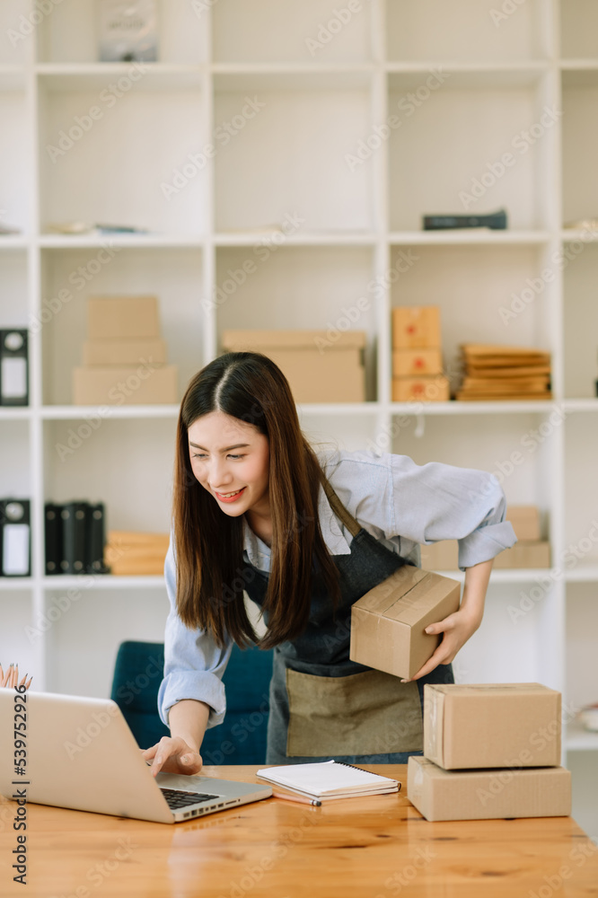 在家办公、BOX、平板电脑和笔记本电脑在线工作的中小企业自由职业女性