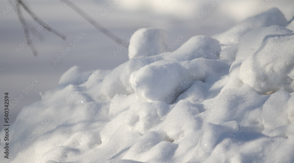 以雪为背景，雪下有干燥的树枝