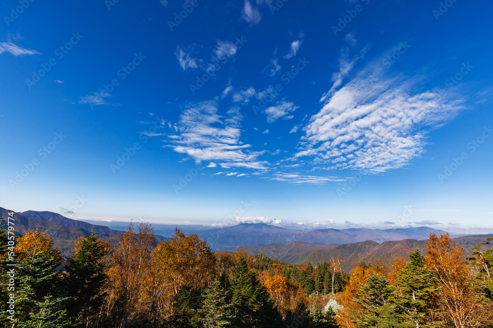 日光白根山周辺の紅葉した山の景色