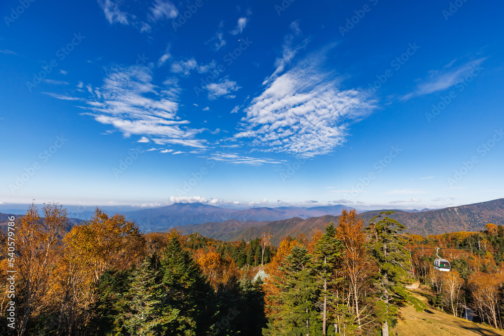 日光白根山周辺の紅葉した山の景色