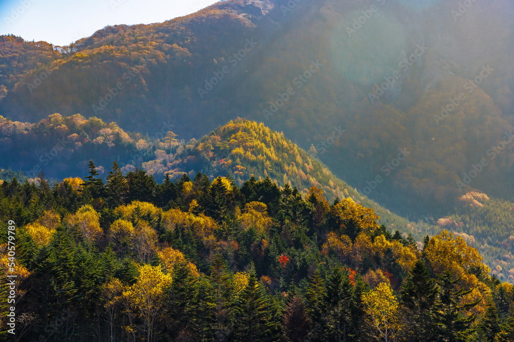 日光白根山周辺の紅葉した山の景色