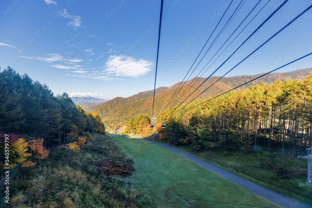 綺麗な紅葉の山を登るロープウェイからの景色