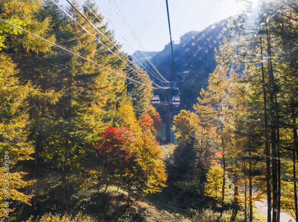 綺麗な紅葉の山を登るロープウェイからの景色