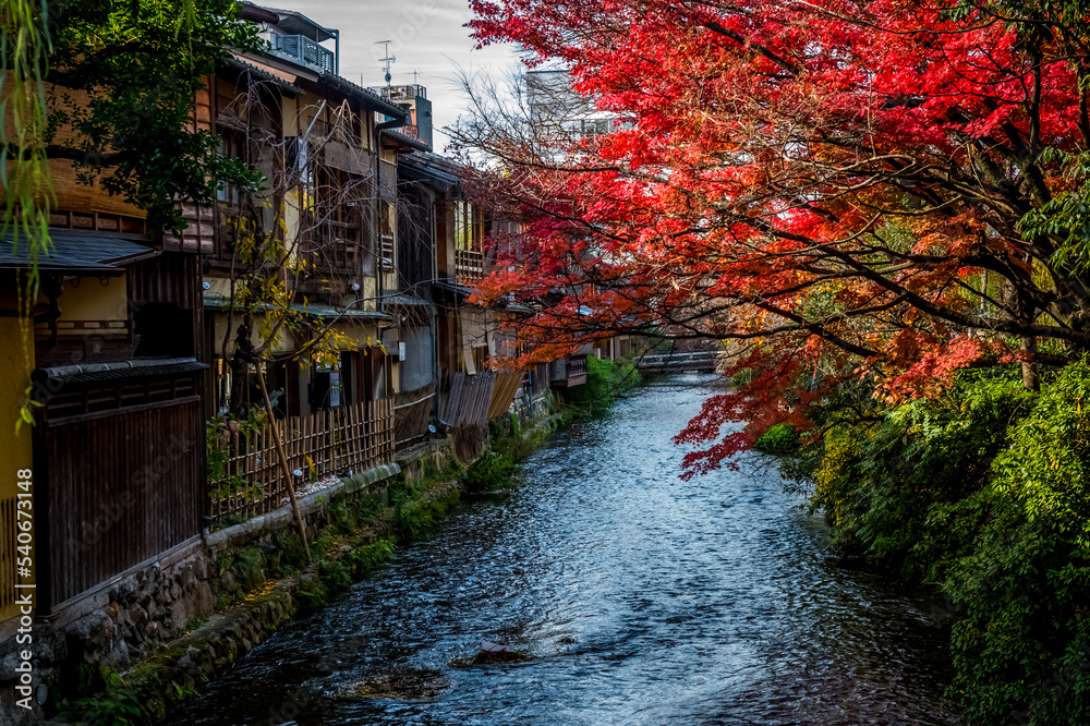 日本京都街头