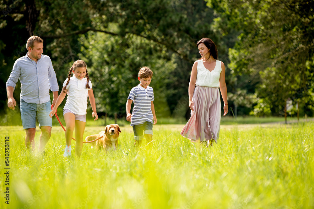 Happy authentic family spending time together and walking on green grass