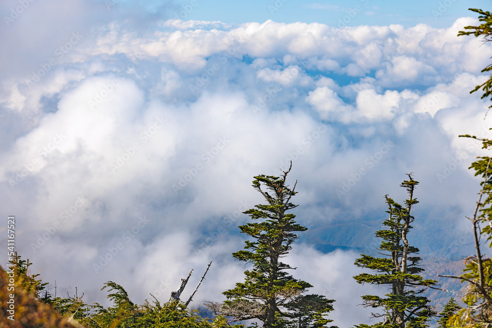 日光白根山から見える紅葉した山の風景