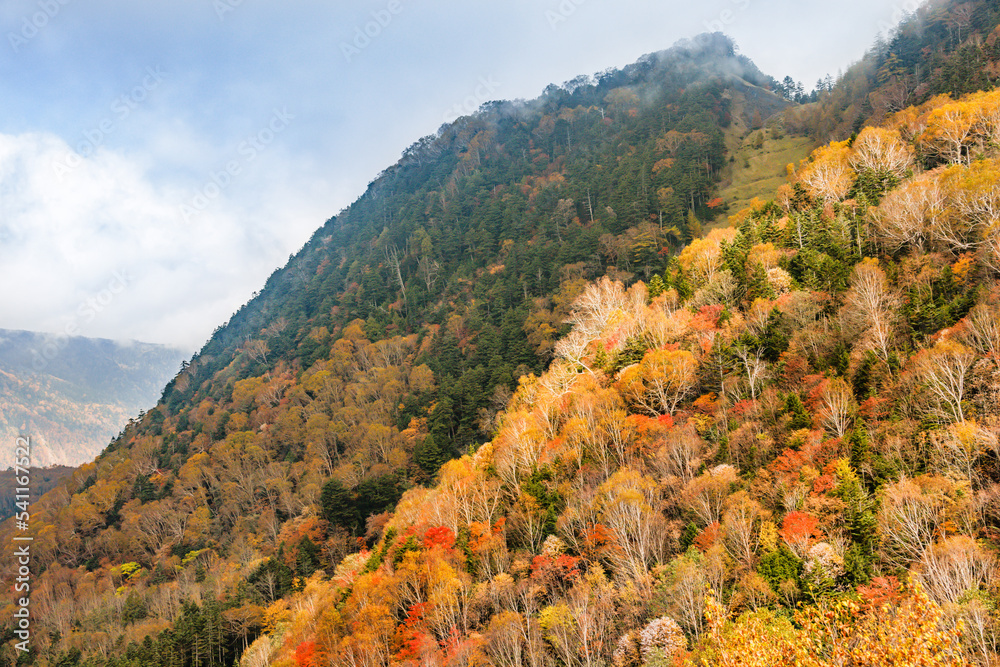 日光白根山から見える紅葉した山の風景