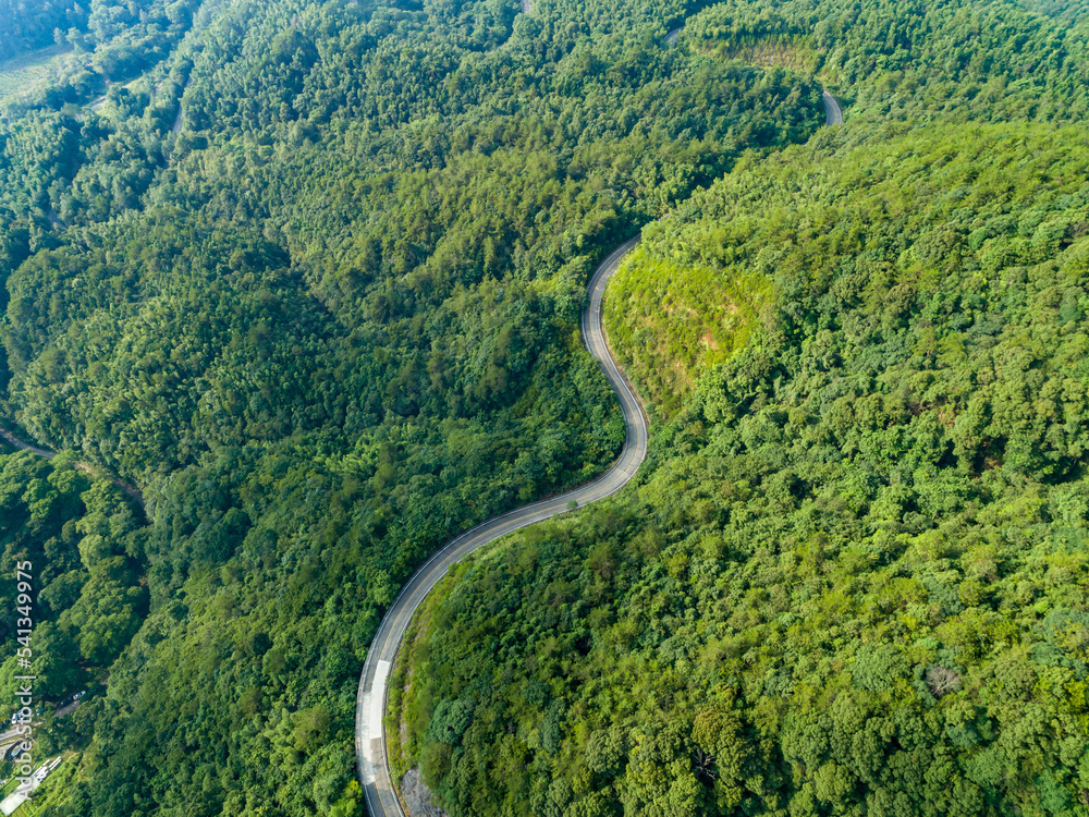 绿色森林中蜿蜒曲折的道路航拍