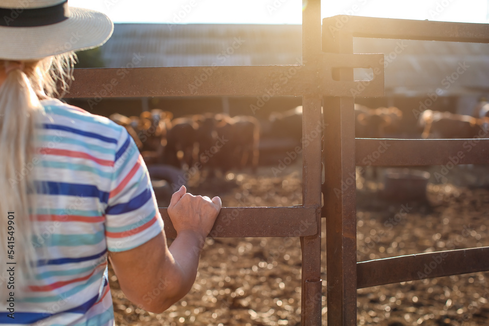 Female mature worker near paddock on farm