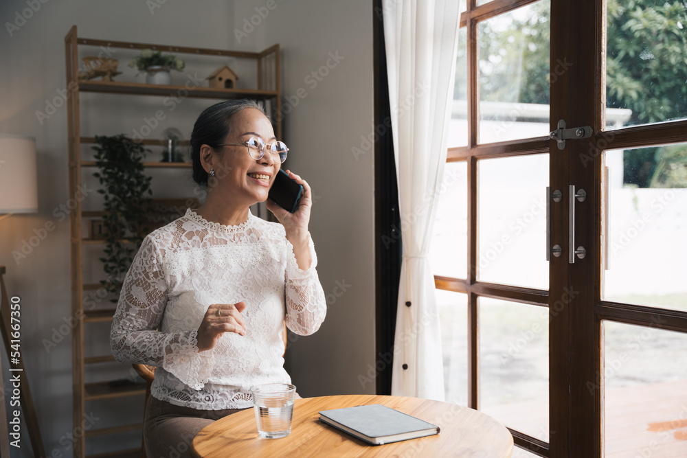 年龄、休闲和人的概念——快乐微笑的老年女性在家读书