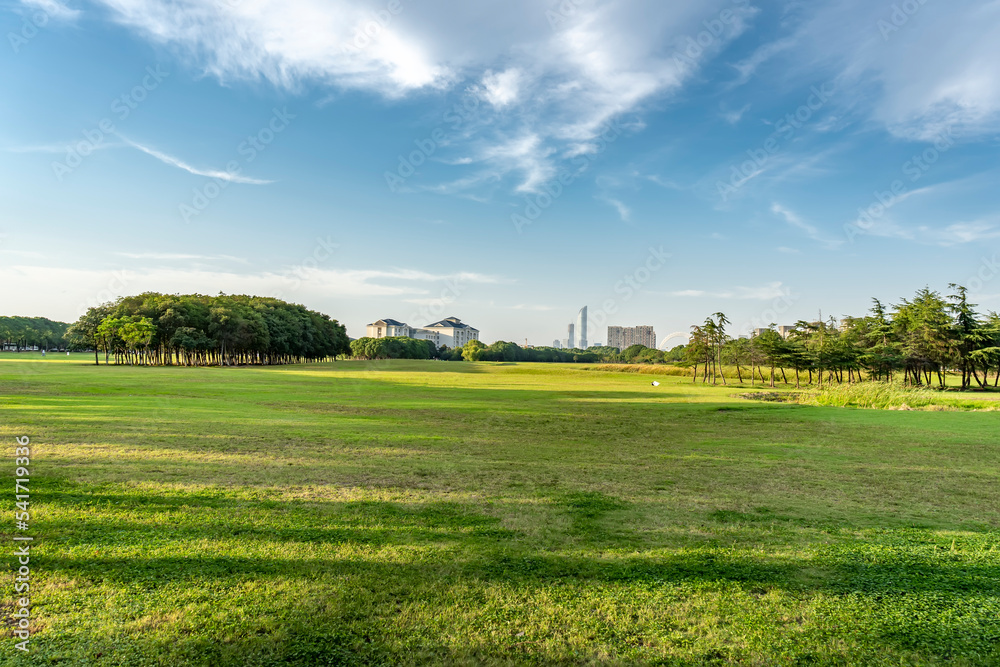 城市公园草坪绿树自然风光