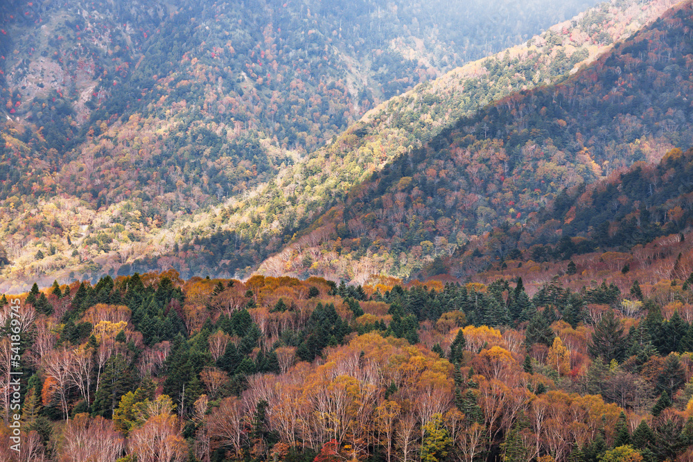 日光白根山から見える紅葉した山の風景