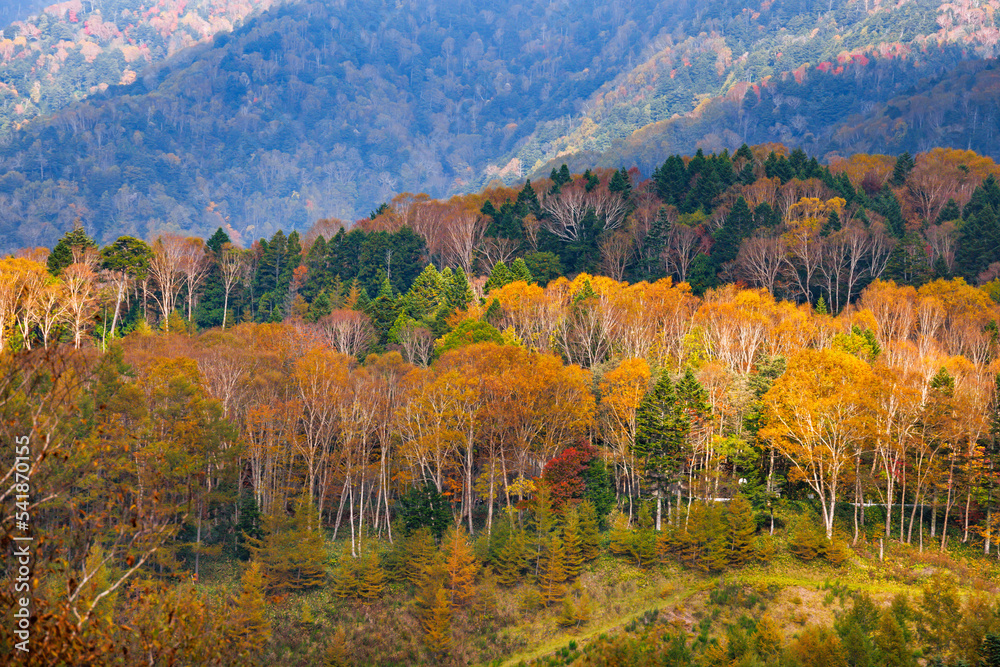 日光白根山から見える紅葉した山の風景