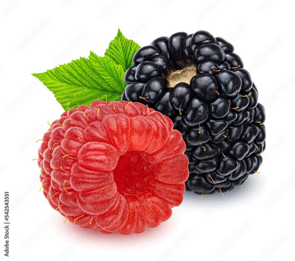 Raspberry and blackberry isolated on white background