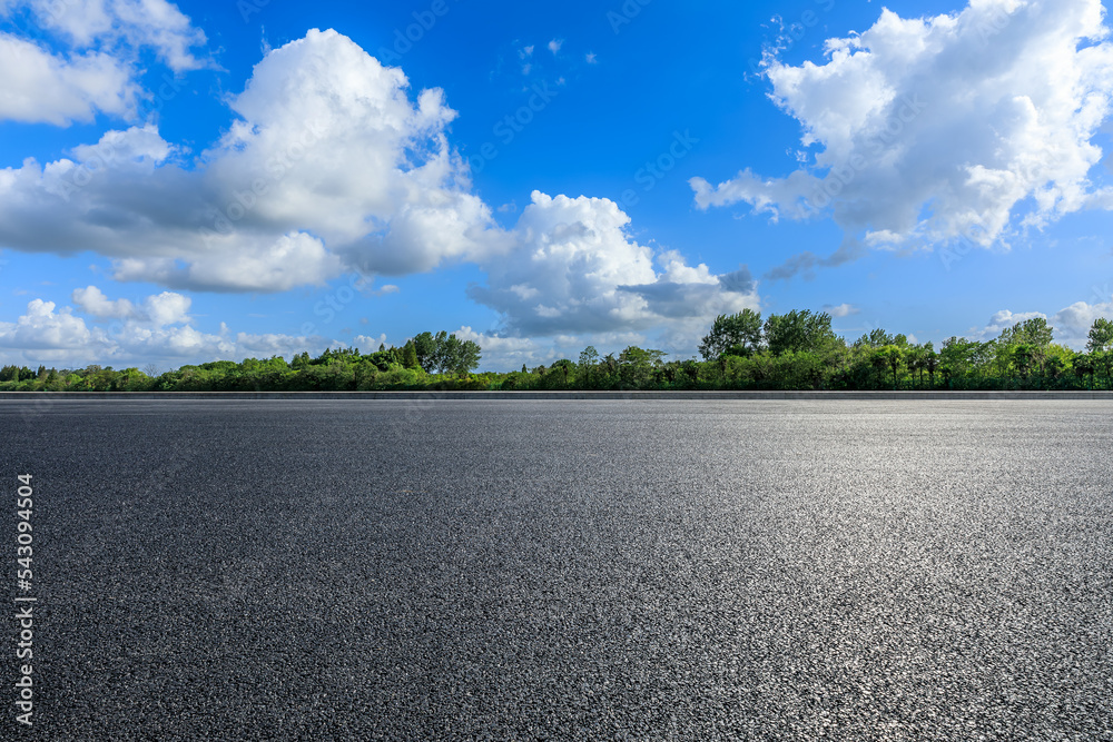 Asphalt road and green forest nature landscape