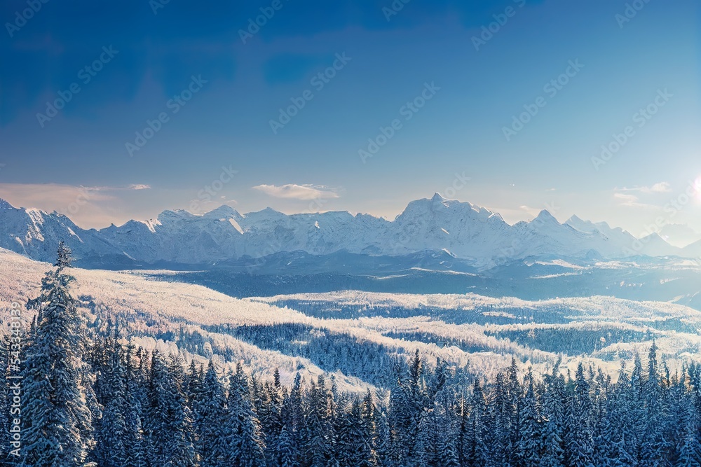 美丽的冬季全景，新鲜的粉雪。云杉树的景观，阳光明媚的蓝天