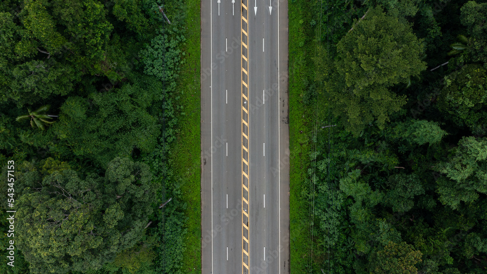 鸟瞰乡村公路沥青公路与森林，鸟瞰穿过森林的道路，特拉夫