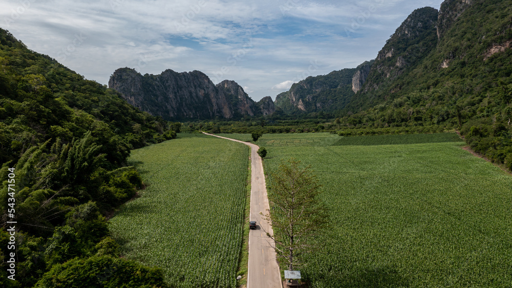 鸟瞰乡村公路与森林的柏油路，穿过森林的鸟瞰路，特拉夫