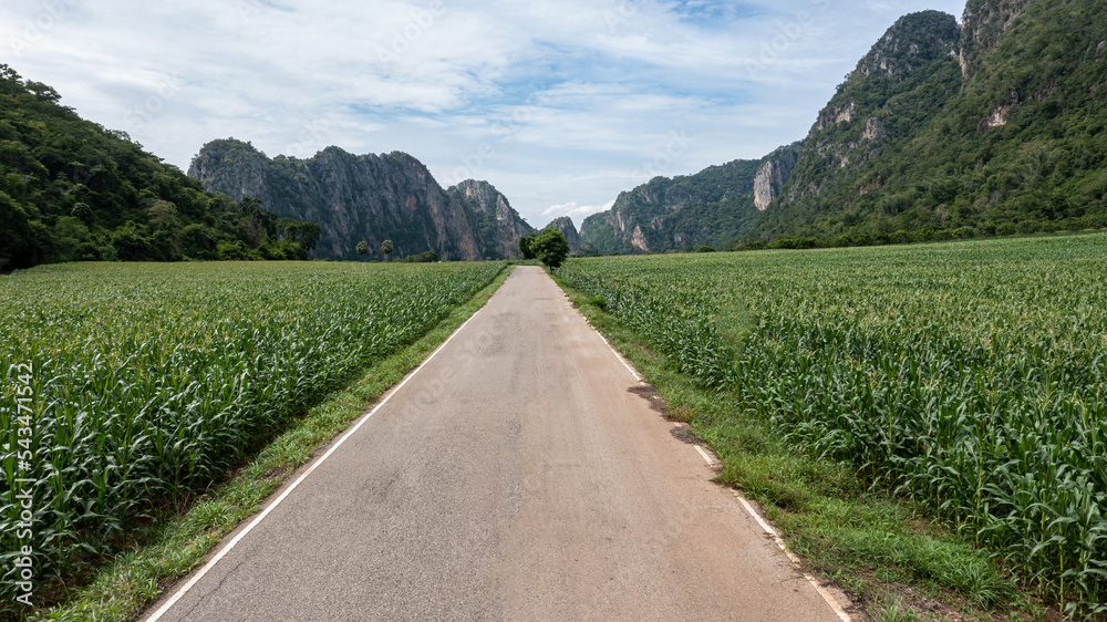 鸟瞰乡村公路沥青公路与森林，鸟瞰穿过森林的道路，特拉夫