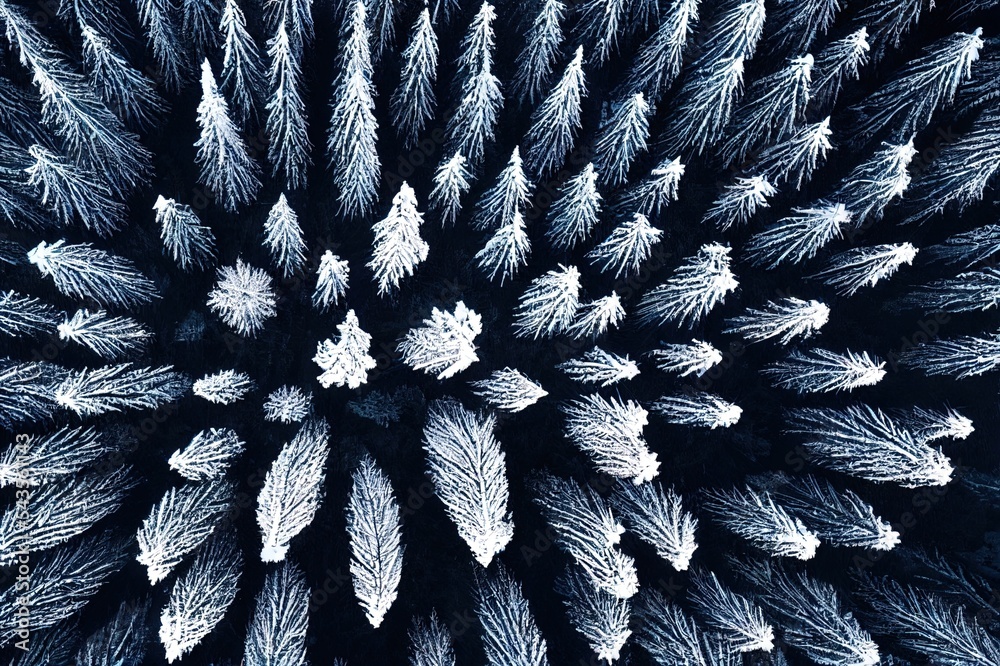 空中俯瞰山脉中的冬松雪山。全景照片。t中间