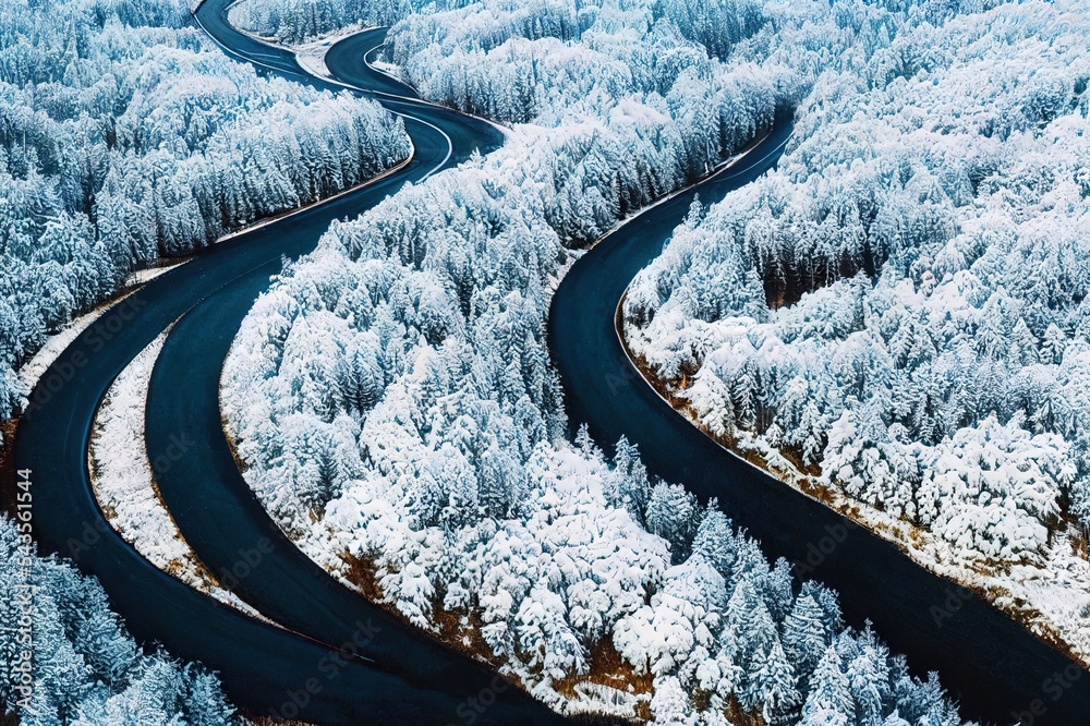 冬季空中景观。穿过白雪皑皑的冬季森林的道路。鸟瞰图。自然冬季