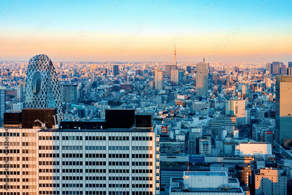 日落时分，摩天大楼耸立在日本东京西新宿的城市景观上