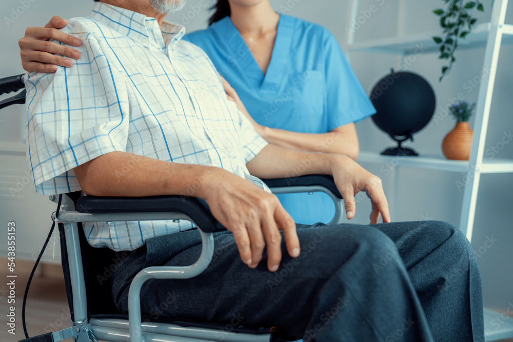 Caring nurse and a contented senior man in a wheel chair at home, nursing house. Medical for elderly