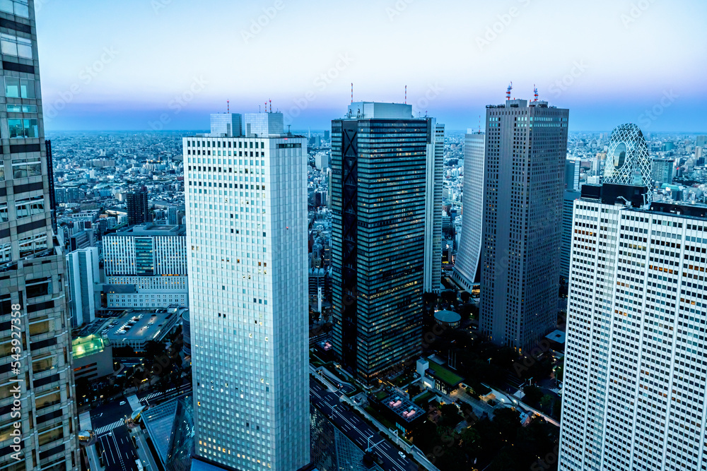 日落时分，摩天大楼耸立在日本东京西新宿的城市景观上