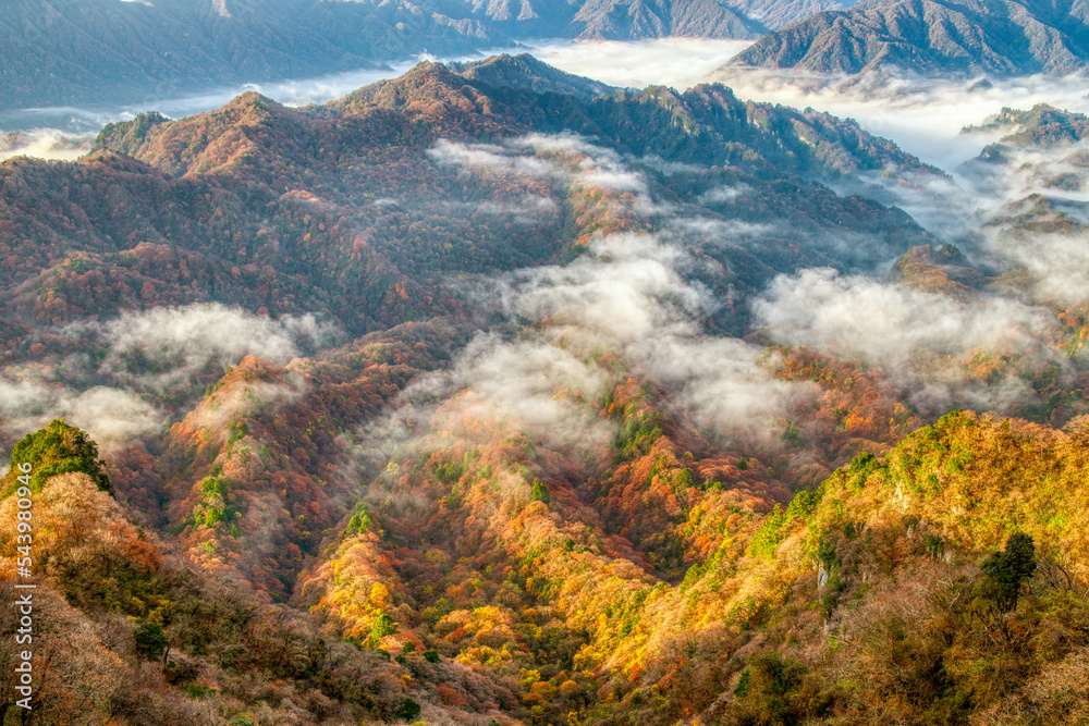 秋日云下山上的五彩森林