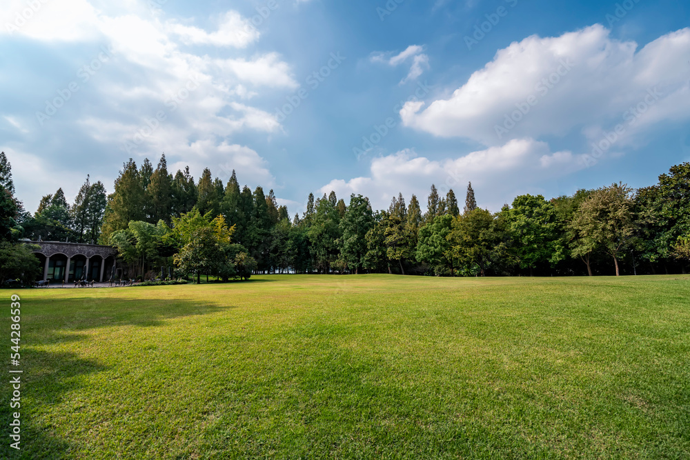 大城市公园全景