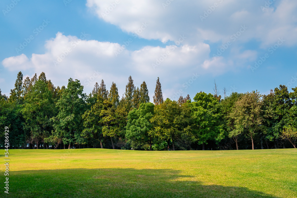 Panorama of big city park