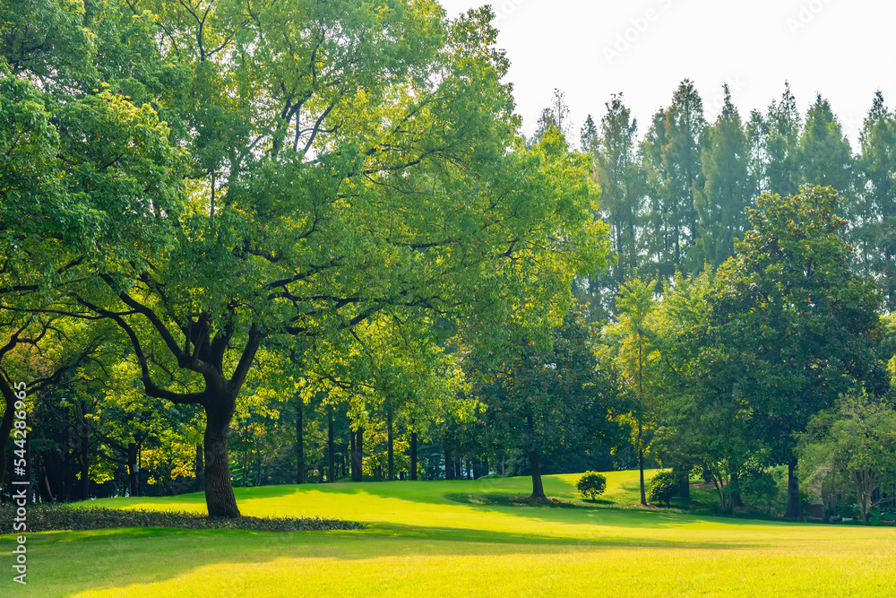 Panorama of big city park