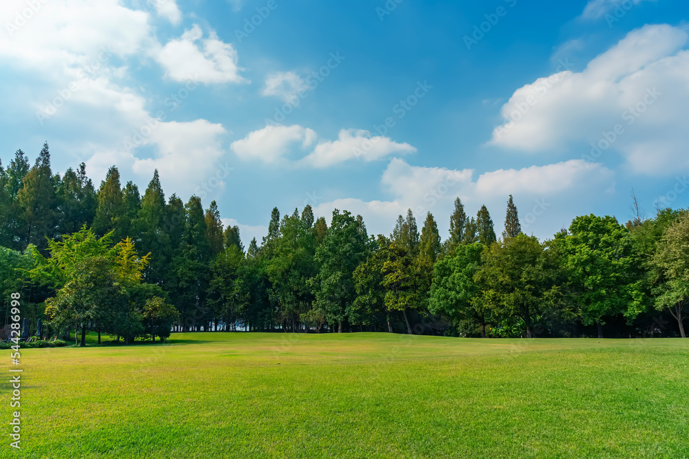 大城市公园全景