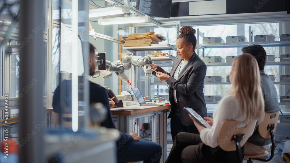 Computer Science Specialists Listen to Black Mentor While Working Together on Modification of Functi