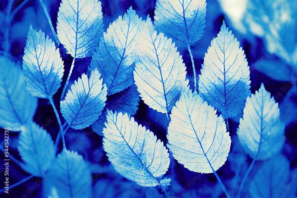 Frosty leaves + blue filter