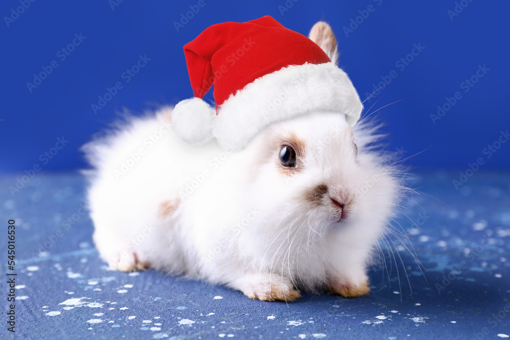 Cute fluffy rabbit in Santa hat on blue background. Greeting card for New Year 2023