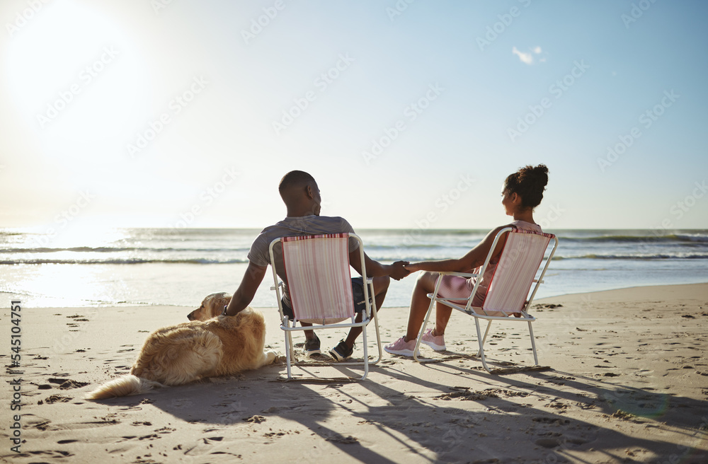 爱，狗或黑人家庭在海滩、海边或海边牵手，在日落时交谈、建立联系或重新联系