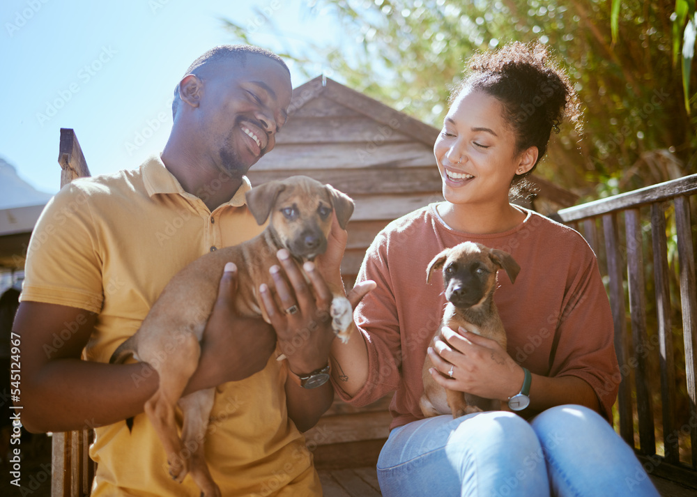 在福利犬舍，一对黑人夫妇抱着一只小狗进行狗、动物收容所和救援。